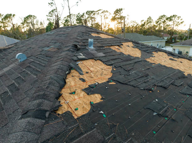 Best Steel Roofing  in Duchesne, UT